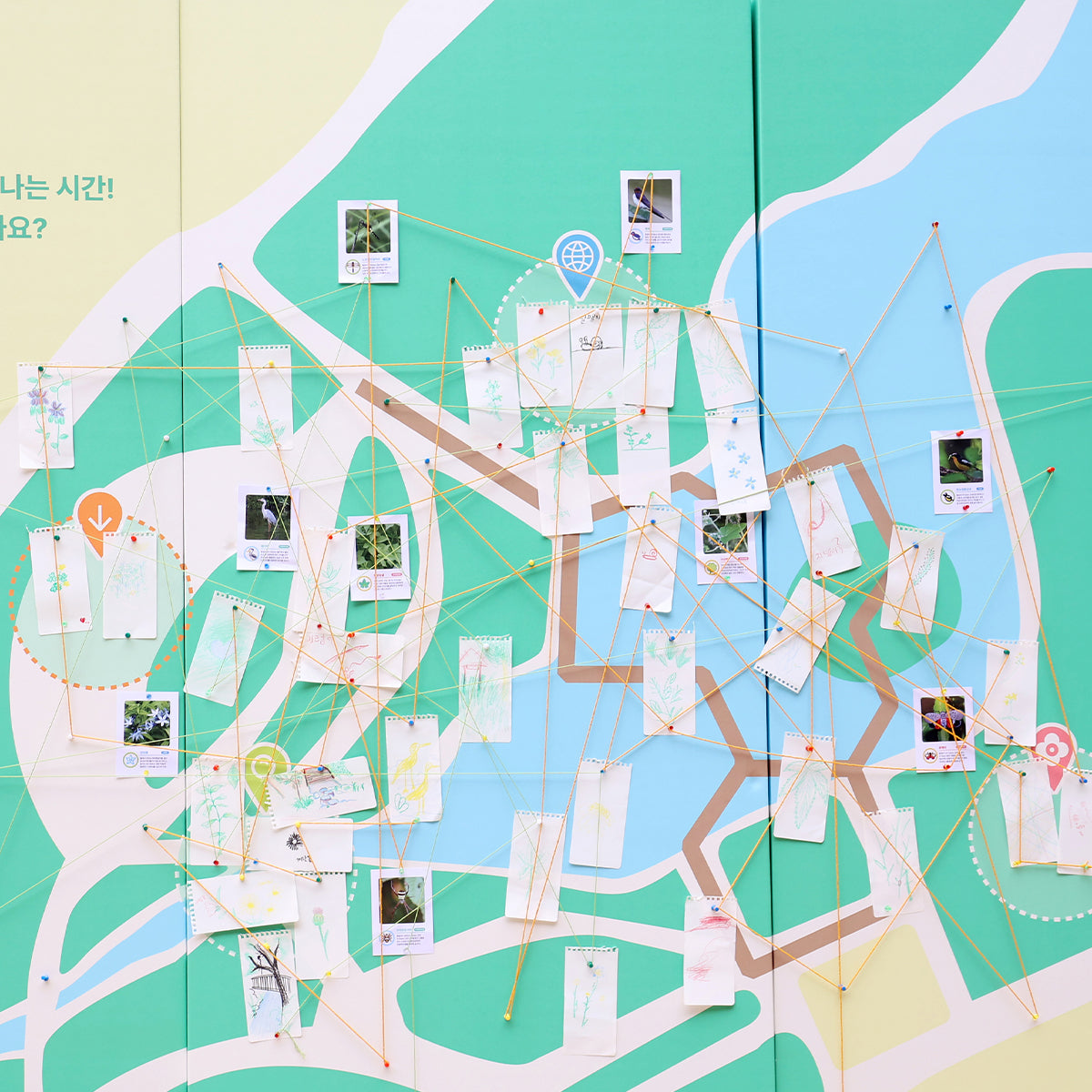 Biodiversity Expeditions Project, KR